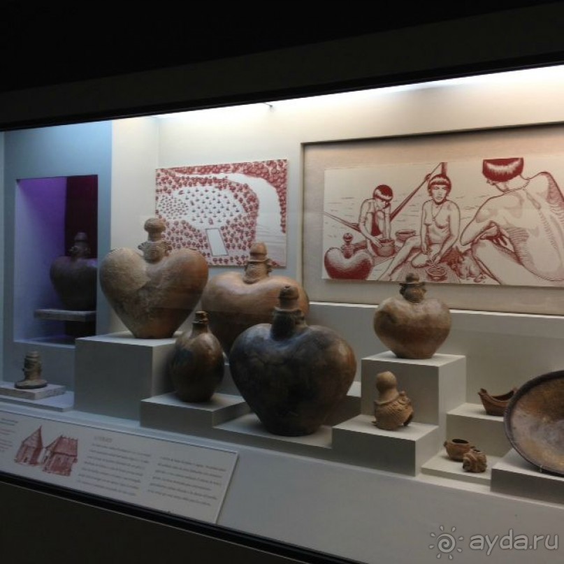 Отличный отдых в солнечной Доминикане