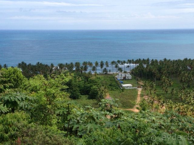 Отличный отдых в солнечной Доминикане