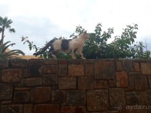 С семьей было комфортно.