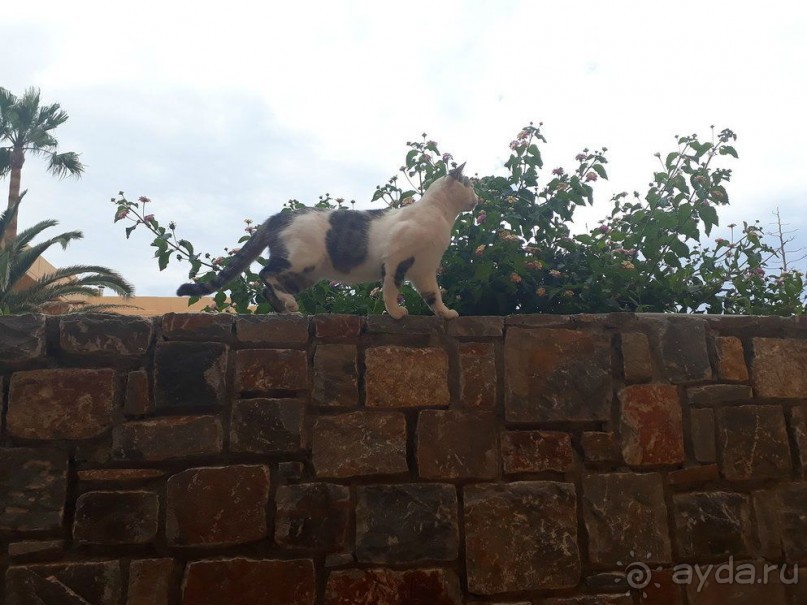 С семьей было комфортно.