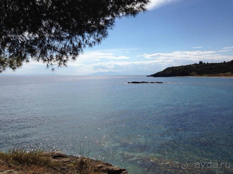 Отзыв о поездке Jeep Safari