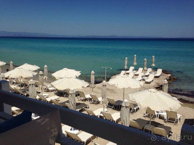 Красивые виды Каллифеи 