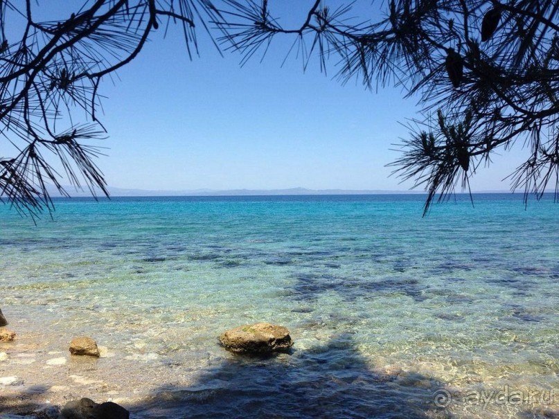 Красивые виды Каллифеи 