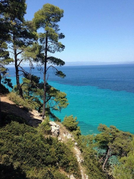 Красивые виды Каллифеи 