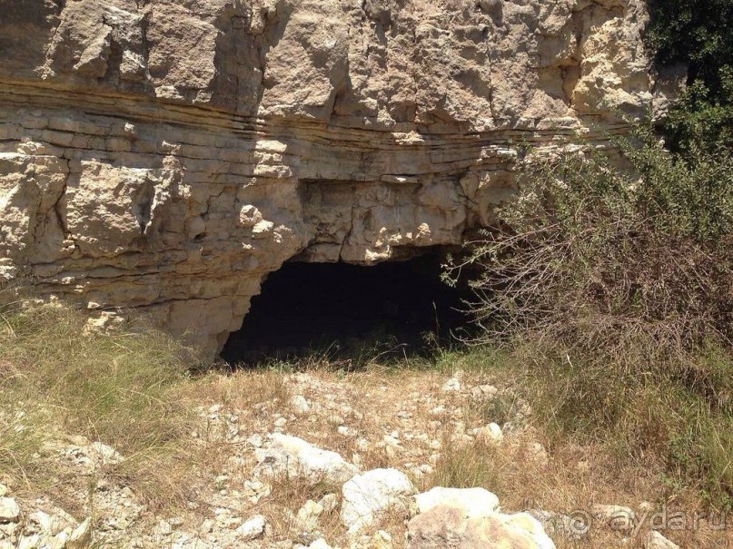 Красивые виды Каллифеи 