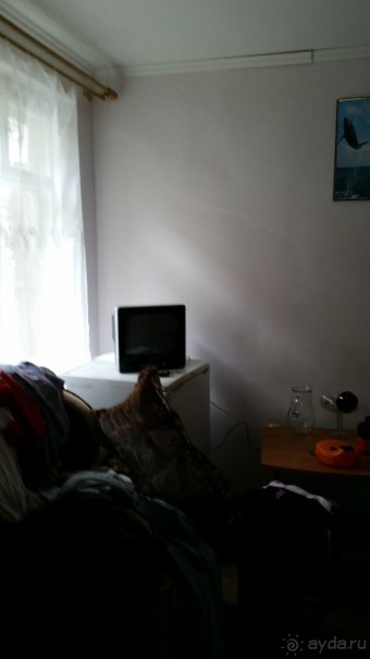 Не стоит своих денег