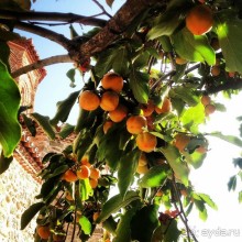 Как мы побывали в “Античной Греции” 