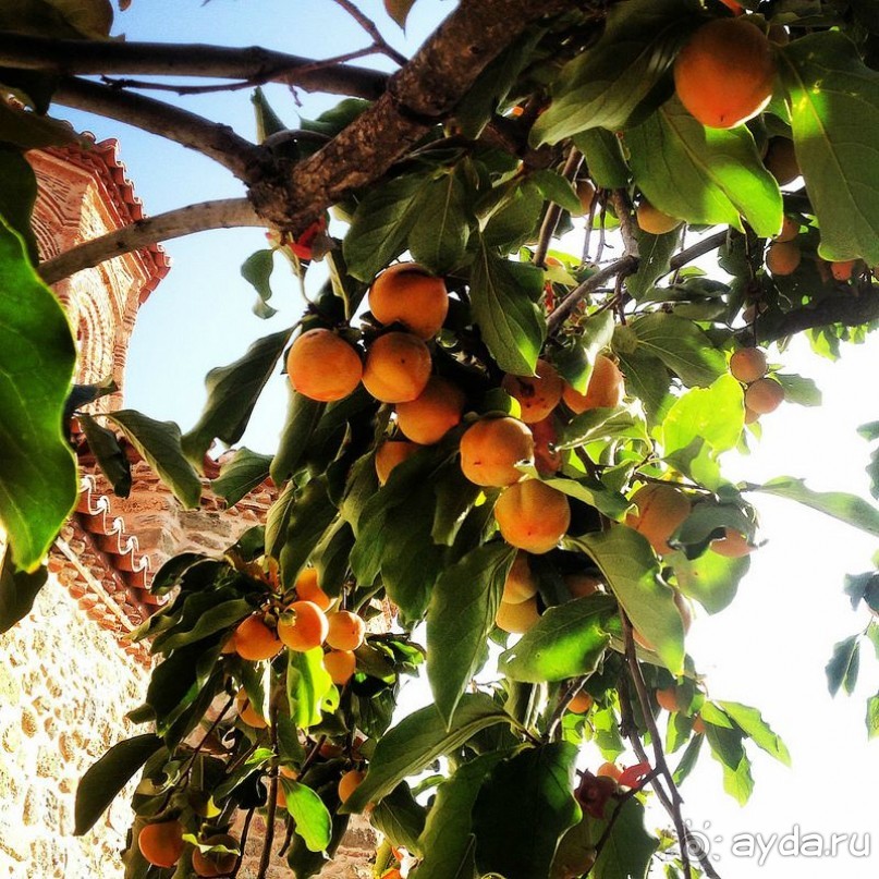 Как мы побывали в “Античной Греции” 