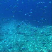 Авиа-экскурсия на остров Корфу