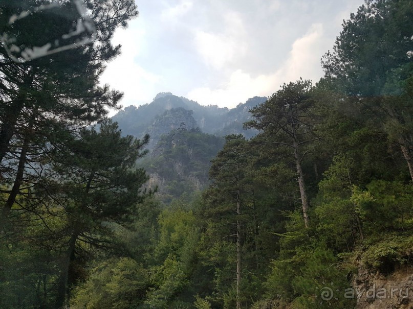 Вергина-Дион-Олимп