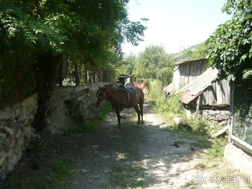 Альбом отзыва "ПРИЕЗЖАЙТЕ В  АЕМЕНИЮ"