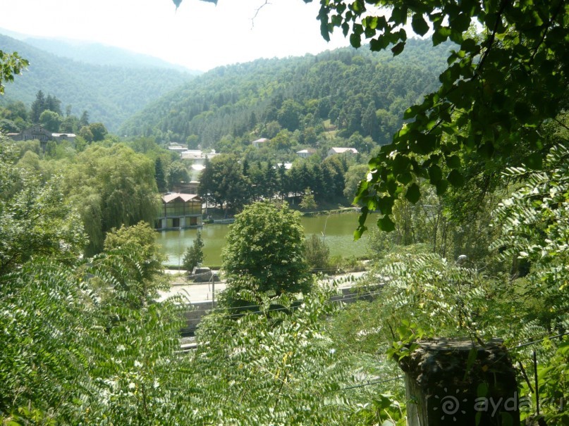 Альбом отзыва "ПРИЕЗЖАЙТЕ В  АЕМЕНИЮ"