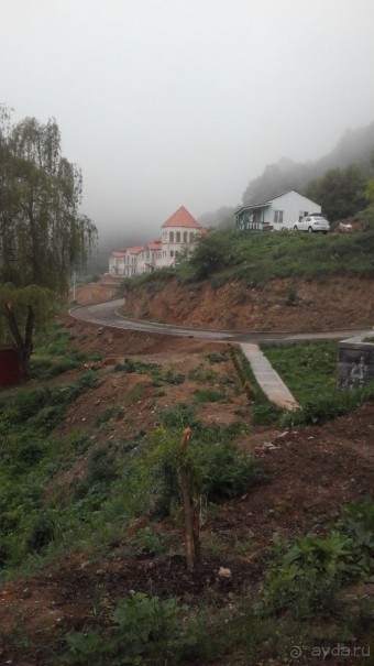 Альбом отзыва "ПРИЕЗЖАЙТЕ В  АЕМЕНИЮ"