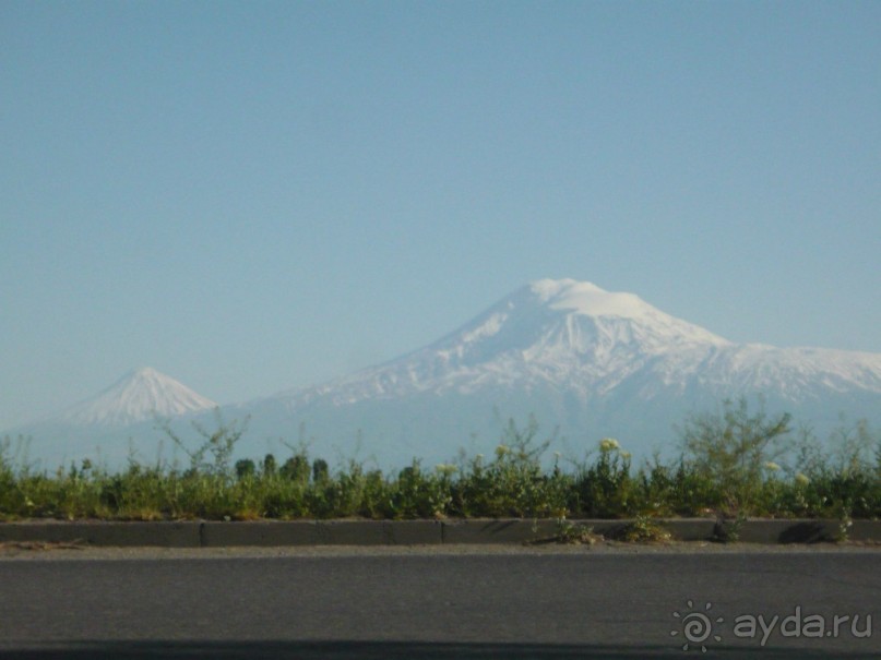 Альбом отзыва "ПРИЕЗЖАЙТЕ В  АЕМЕНИЮ"