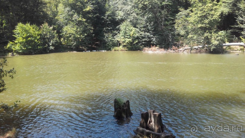 Альбом отзыва "ПРИЕЗЖАЙТЕ В  АЕМЕНИЮ"