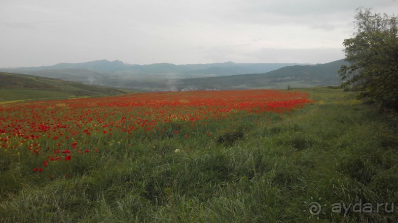 Альбом отзыва "ПРИЕЗЖАЙТЕ В  АЕМЕНИЮ"