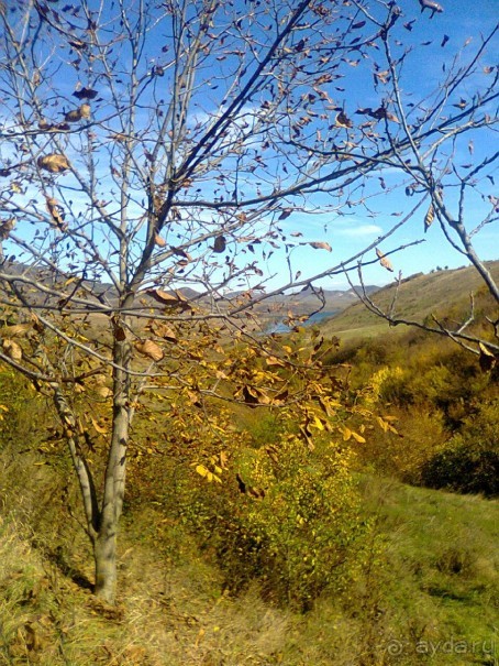 Альбом отзыва "ПРИЕЗЖАЙТЕ В  АЕМЕНИЮ"