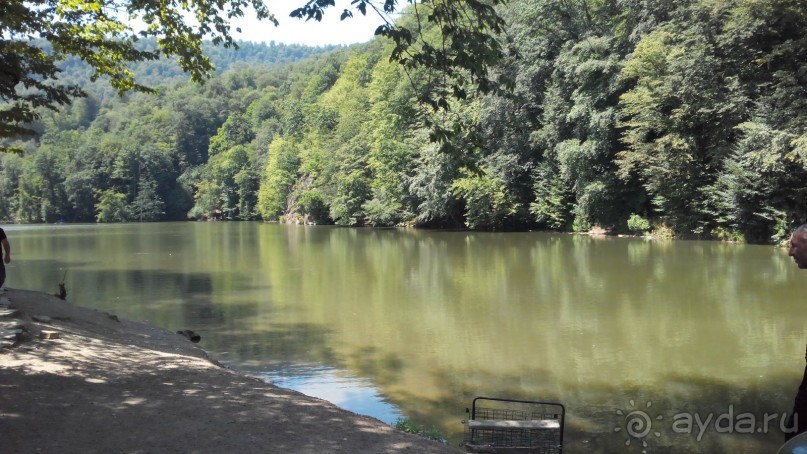 Альбом отзыва "ПРИЕЗЖАЙТЕ В  АЕМЕНИЮ"