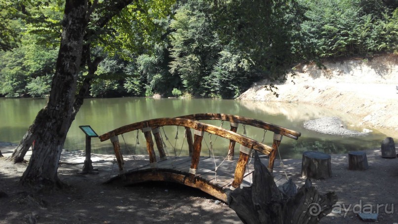 Альбом отзыва "ПРИЕЗЖАЙТЕ В  АЕМЕНИЮ"