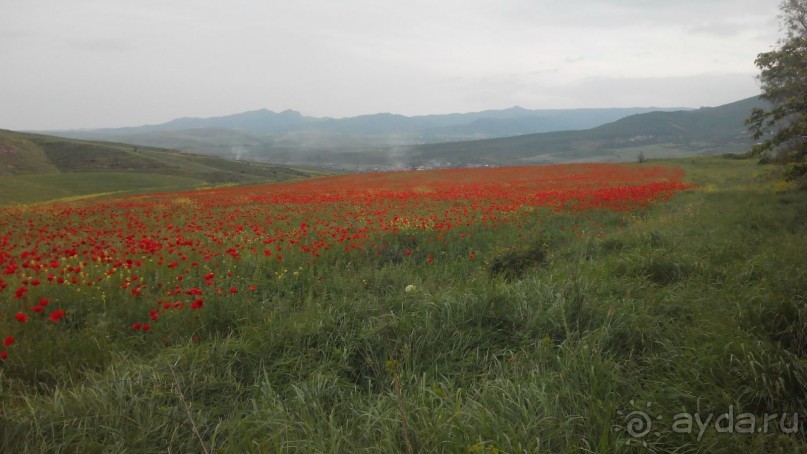 Альбом отзыва "ПРИЕЗЖАЙТЕ В  АЕМЕНИЮ"