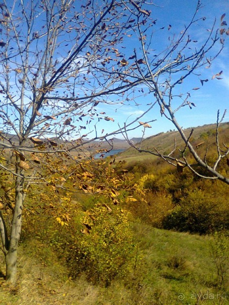 Альбом отзыва "ПРИЕЗЖАЙТЕ В  АЕМЕНИЮ"