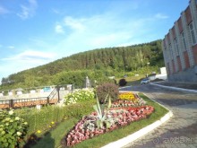 Лечилась  чистым воздухом.