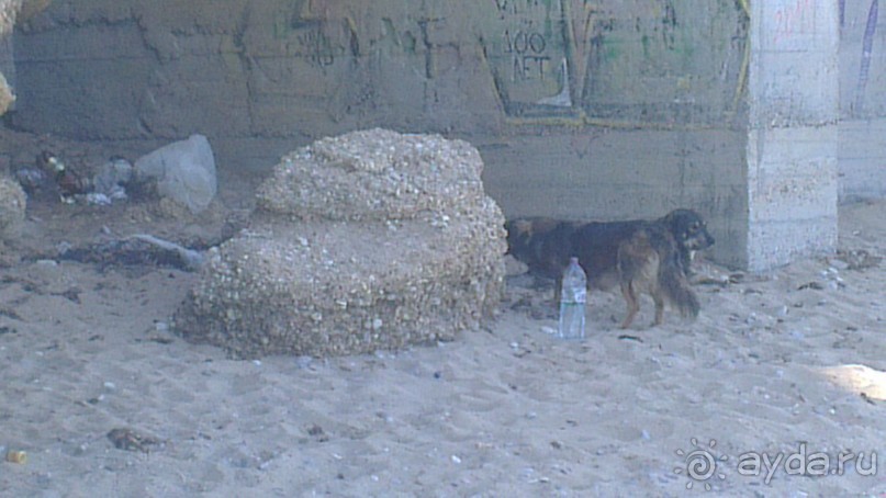 Альбом отзыва "Отдых в поселке городского типа Кача."