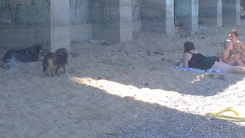 Альбом отзыва "Отдых в поселке городского типа Кача."