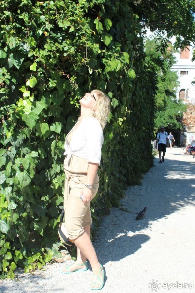 Медовый месяц 