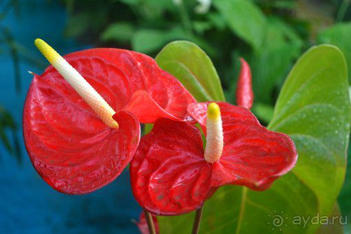 Потрясающий город с особенной атмсоферой