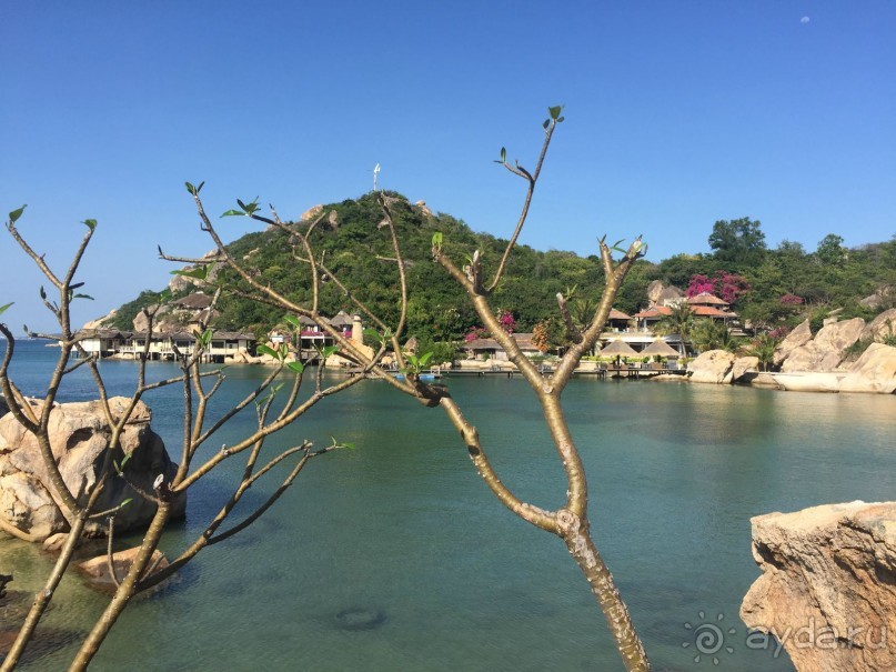 Оазис красоты и спокойствия!