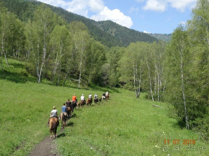 Альбом отзыва "Активный отдых в Горном Алтае с СибирьПрофи 2016"