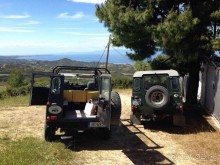 Крутое сафари