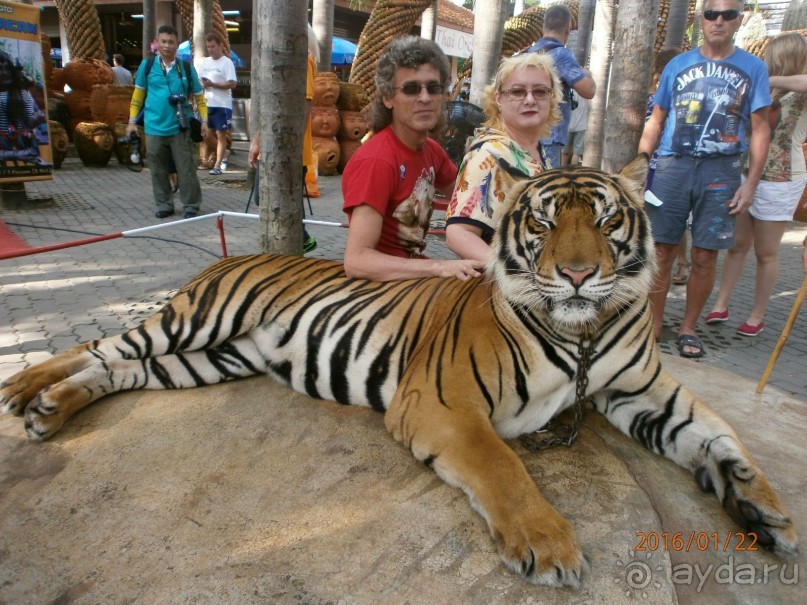 Альбом отзыва "И снова Таиланд"