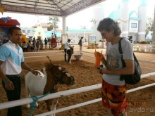 И снова Таиланд