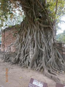 И снова Таиланд