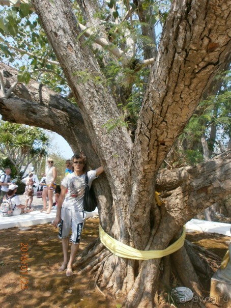 И снова Таиланд