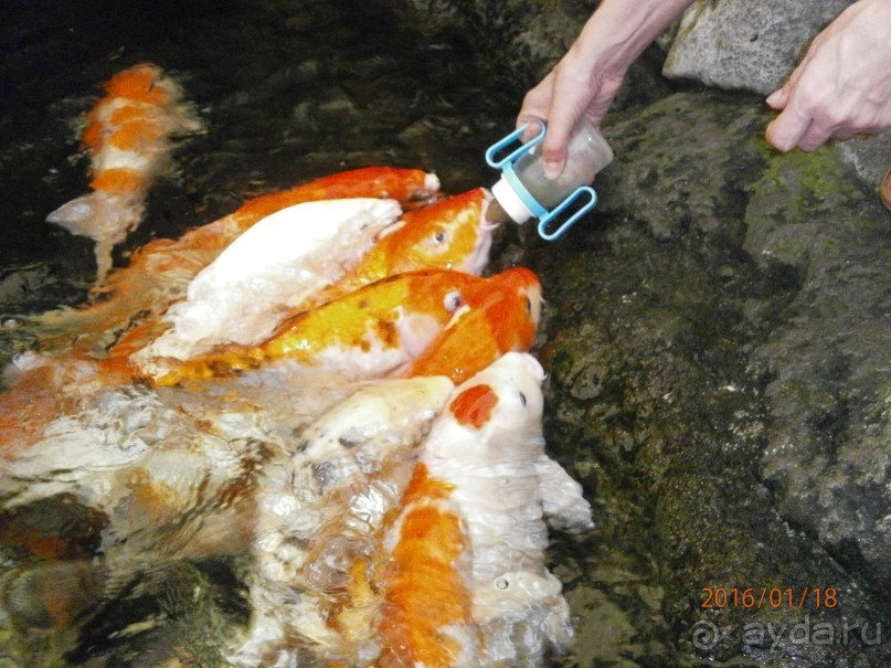 И снова Таиланд