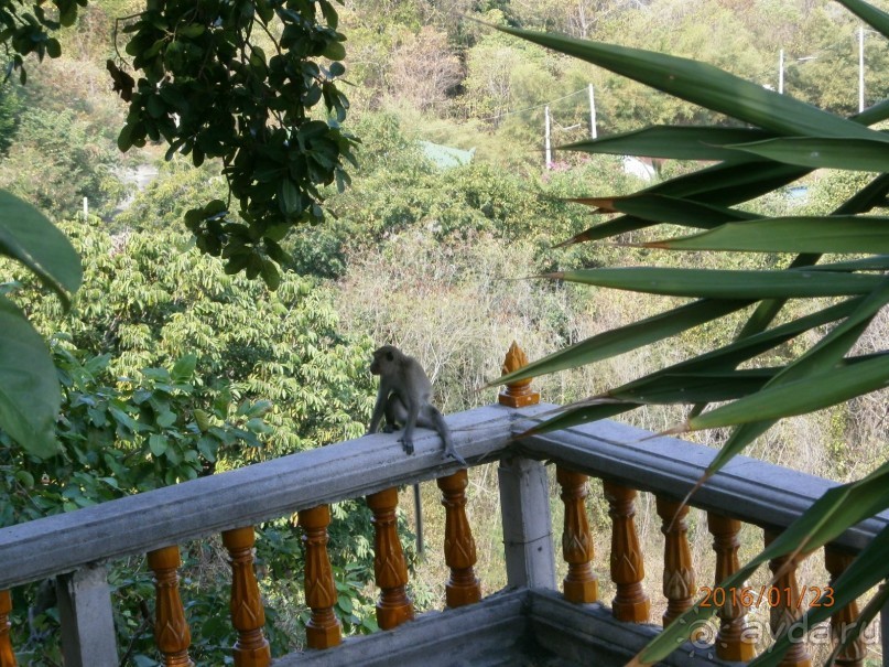 И снова Таиланд