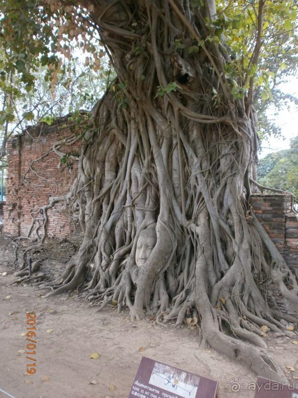 И снова Таиланд