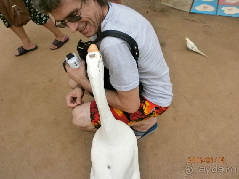 И снова Таиланд