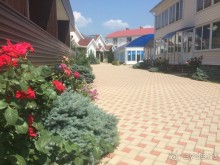 фото Апельсин 