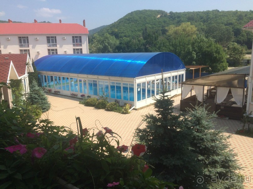 фото Апельсин 