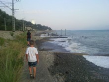 фото Самшит