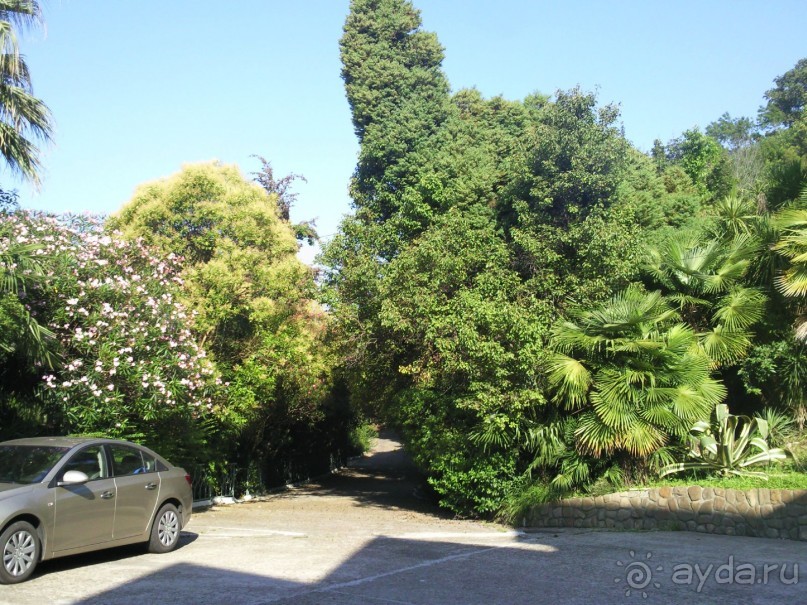 Отдых в Самшите