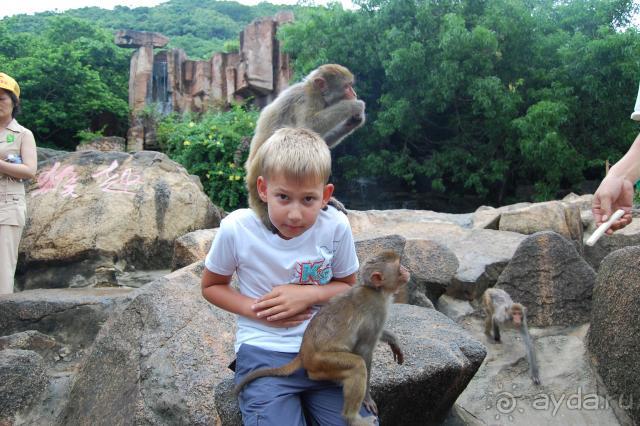 остров обезьян