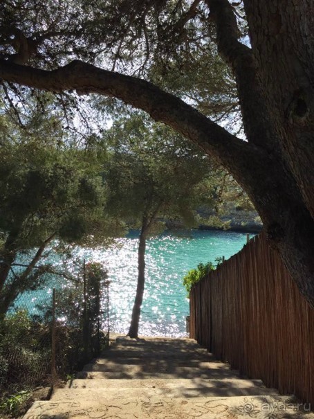 Майорка, Кала дор -рекомендую для семейного отдыха и с детьми!!