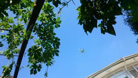 Полная антисанитария и безразличие персонала