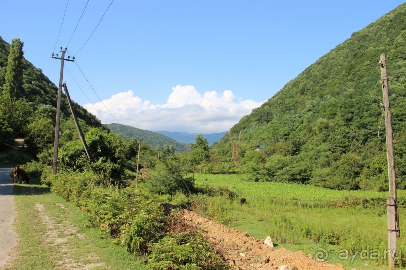 Отдых в Сухуме 2016.