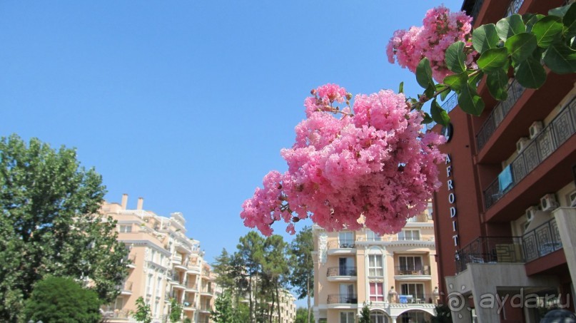 Заметка об отдыхе на Солнечном берегу